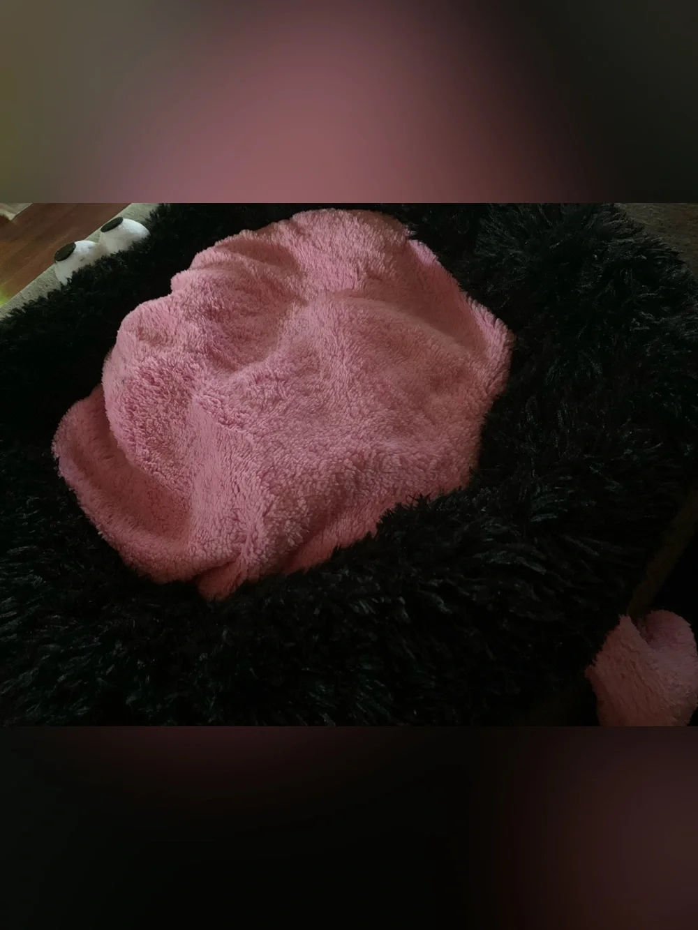 Cute Calming Dog Bed Indoor